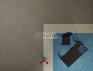 Bloq Tradition Tradition 810 фото 2 | FLOORDEALER